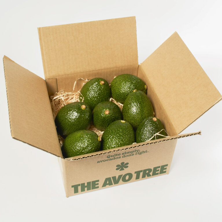 $26 GEM™ Avocado Box