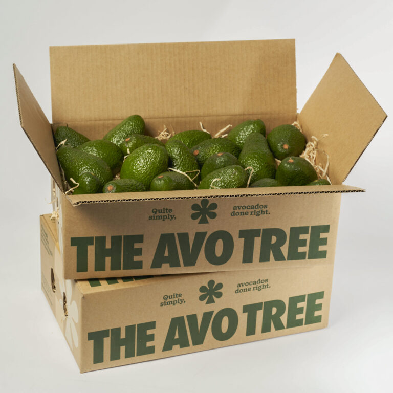 Box of 40
