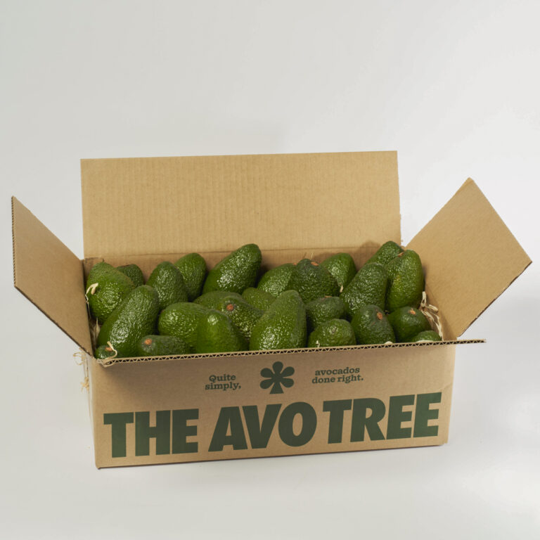 Box of 25