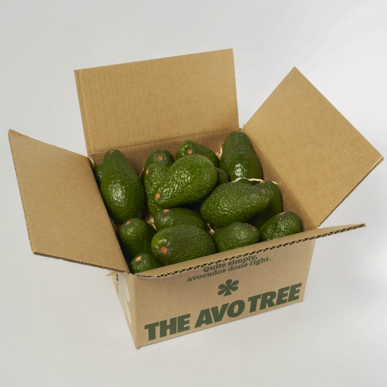Box of 15