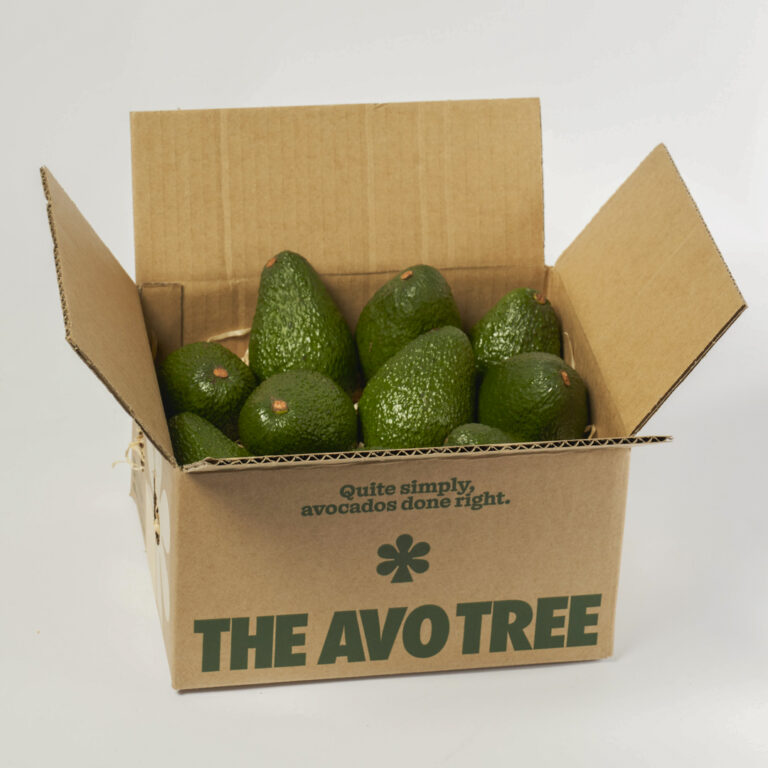 Box of 10