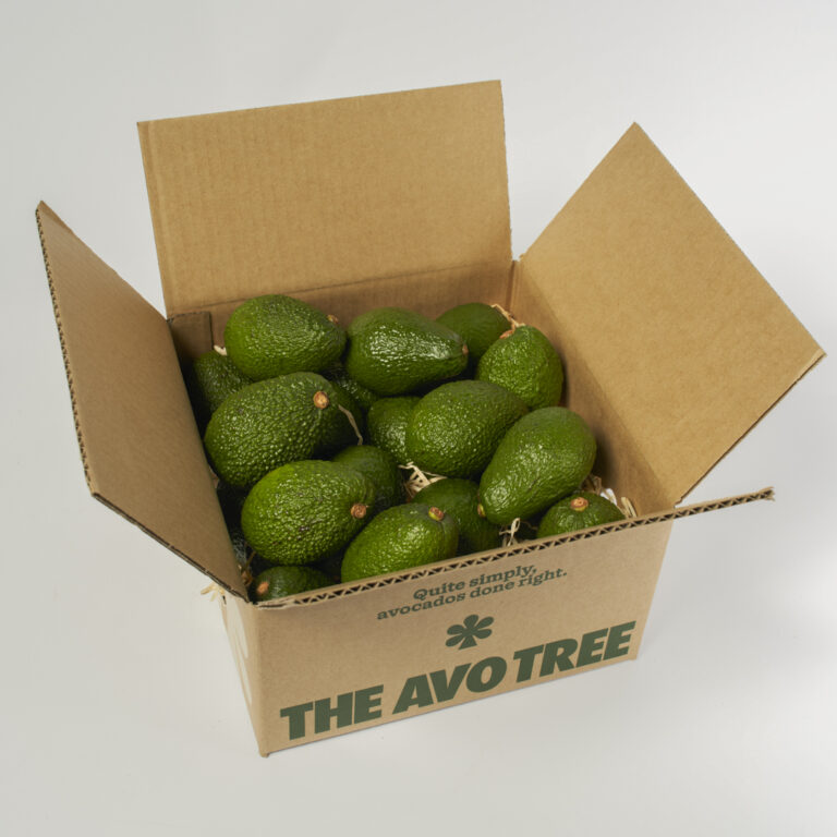 Box of 20