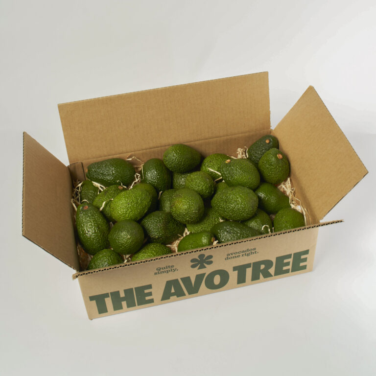Box of 30