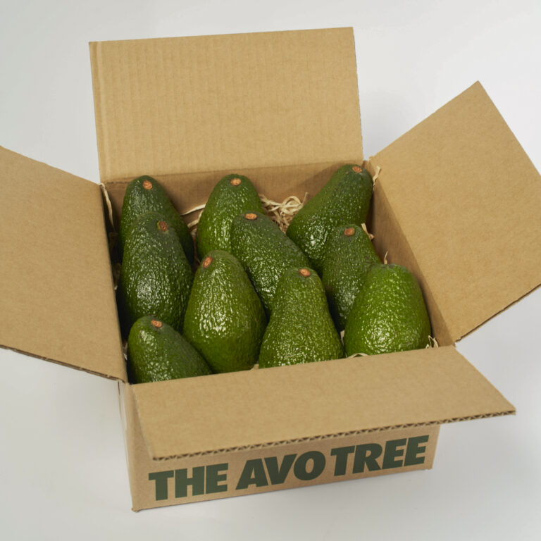 Box of 10