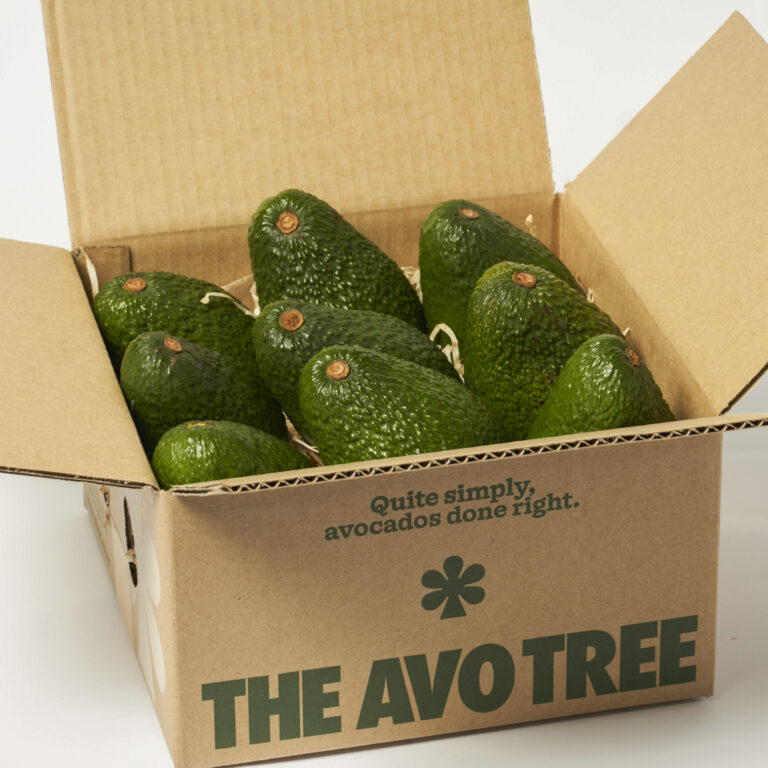 Box of 9